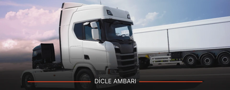Dicle Ambarı