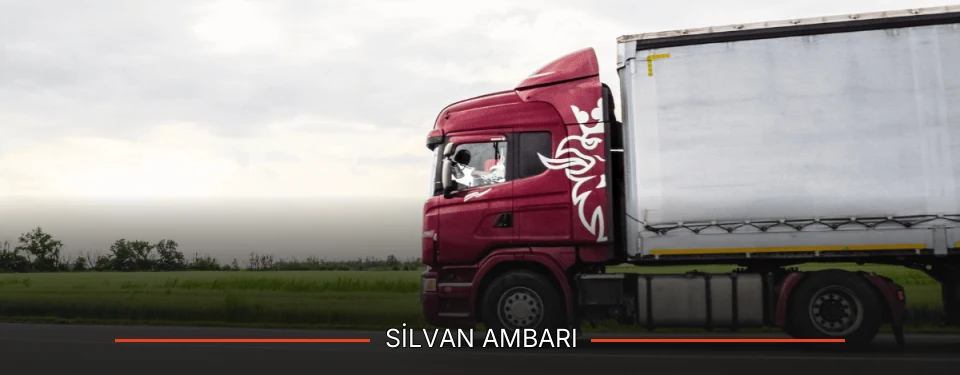 Silvan Ambarı